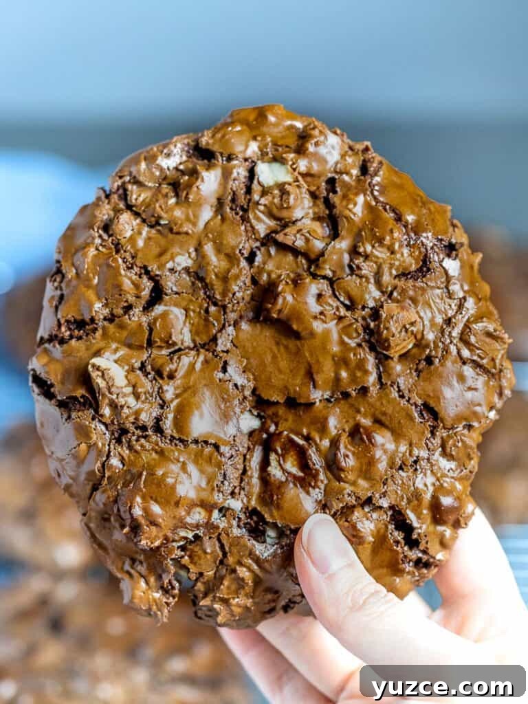 Decadent Homemade Hot Chocolate Recipe — Rich, Creamy & Velvety 22 big chocolate cookie held in hand
