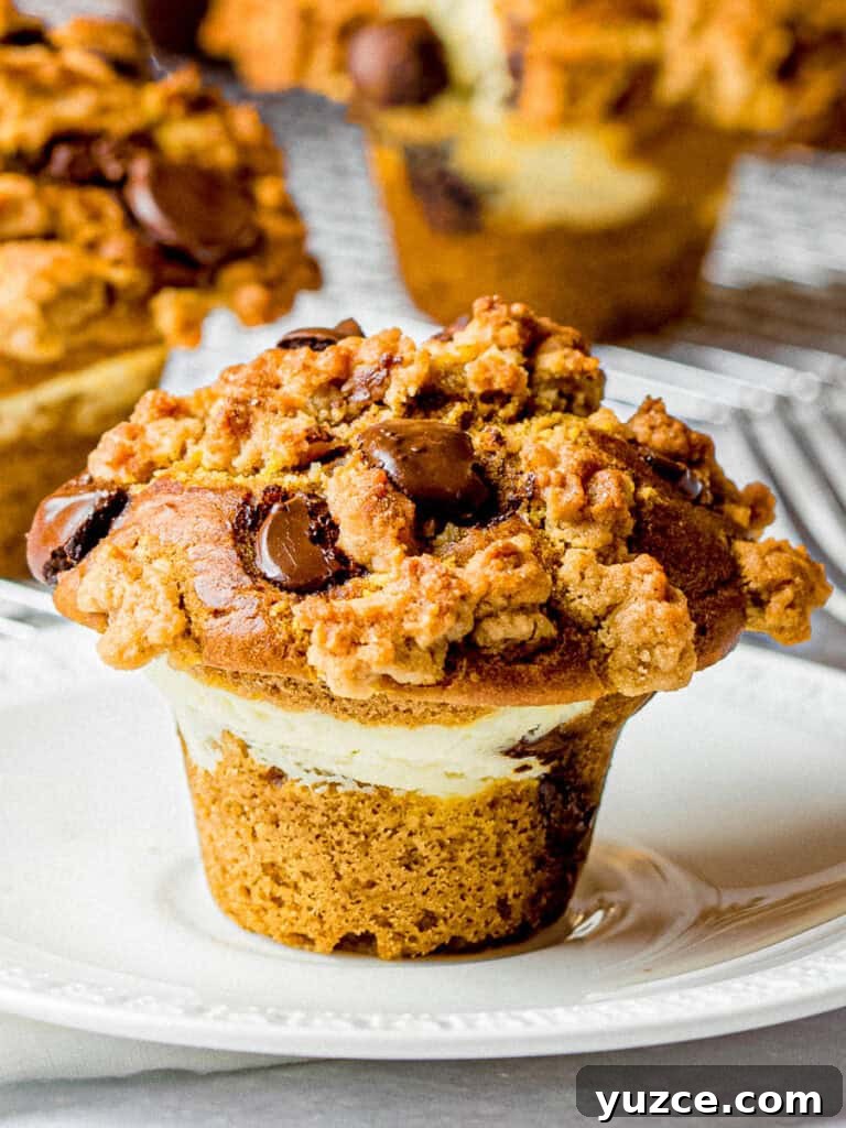 Decadent Homemade Hot Chocolate Recipe — Rich, Creamy & Velvety 24 pumpkin chocolate chip muffins with cream cheese filling and streusel topping on a white plate