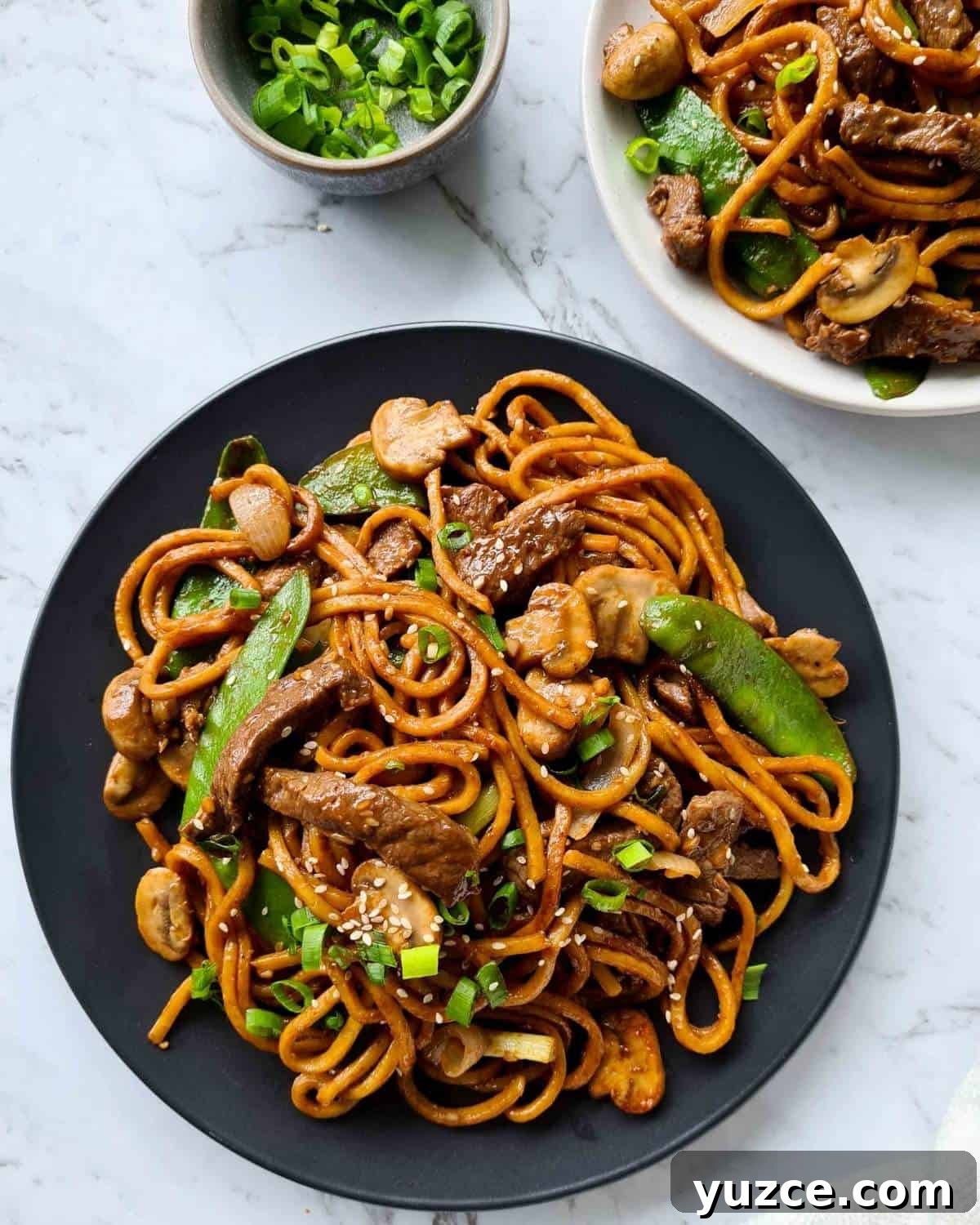Beef Noodle Stir-Fry with Garlic and Sesame Sauce 12 Freshly cooked beef noodle stir fry in a black plate