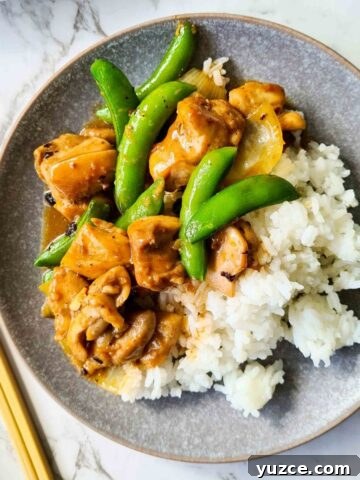chicken black bean stir fry served with rice on a grey plate