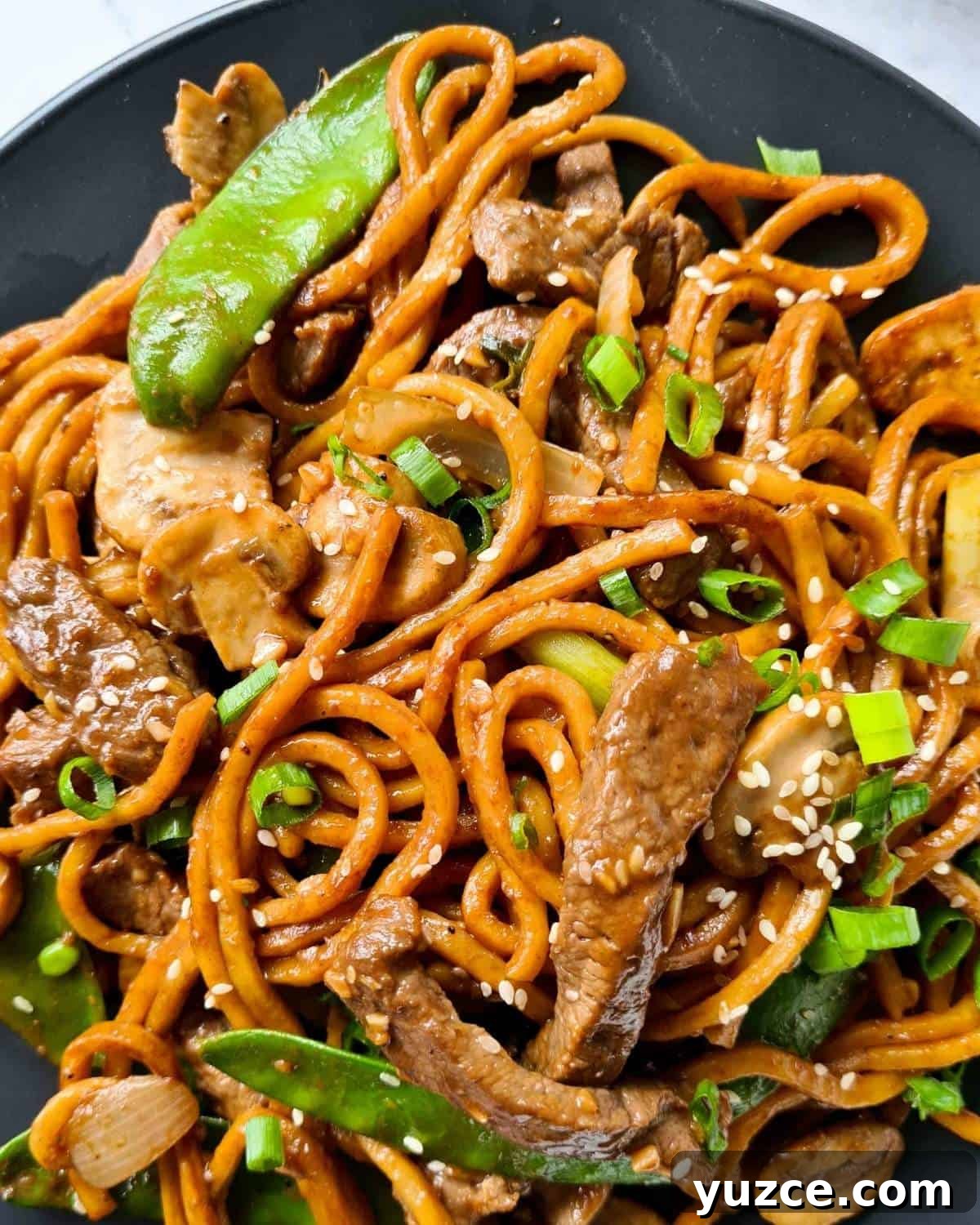 Beef Noodle Stir-Fry with Garlic and Sesame Sauce 3 Close up of beef noodles sprinkled with finely sliced spring onions and sesame seeds