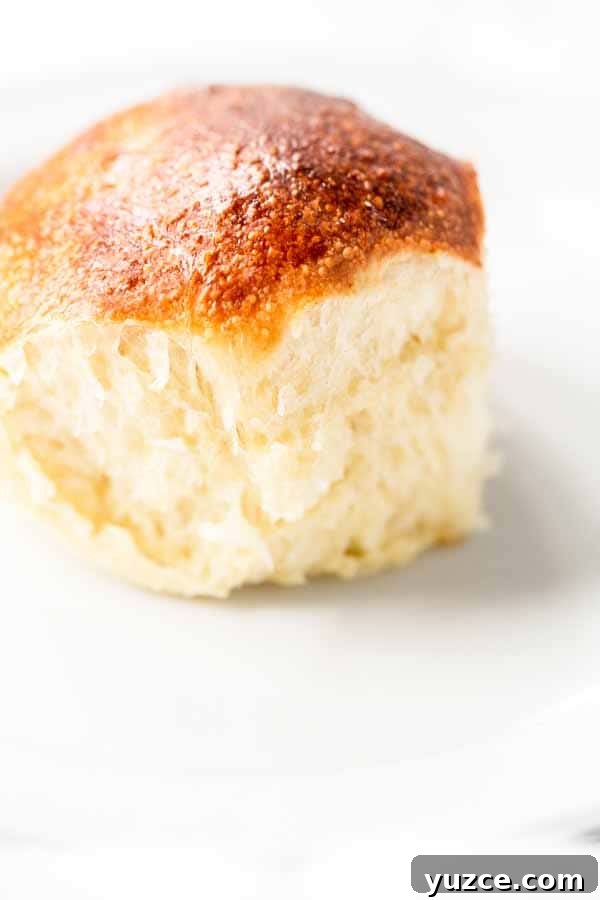 Crispy Air Fryer Dinner Rolls Recipe for Soft, Fluffy Buns 9 Dinner rolls stored in a bag.
