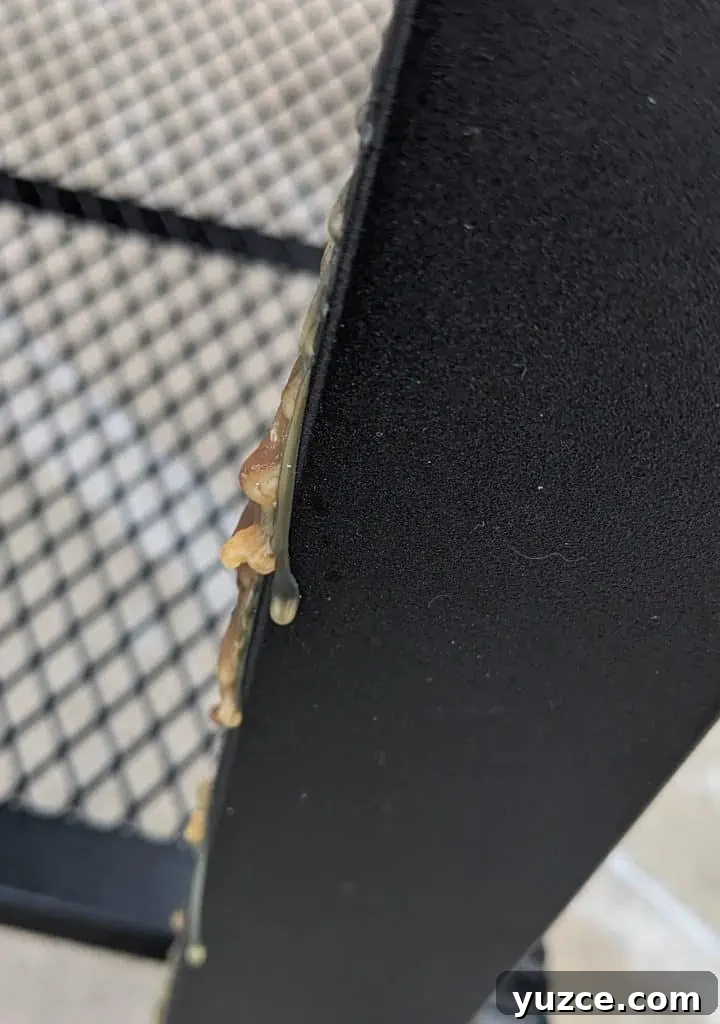 Grease leaking down the side of the Z Grills Smoke Beast Grease leaking down the side of the Z Grills Smoke Beast