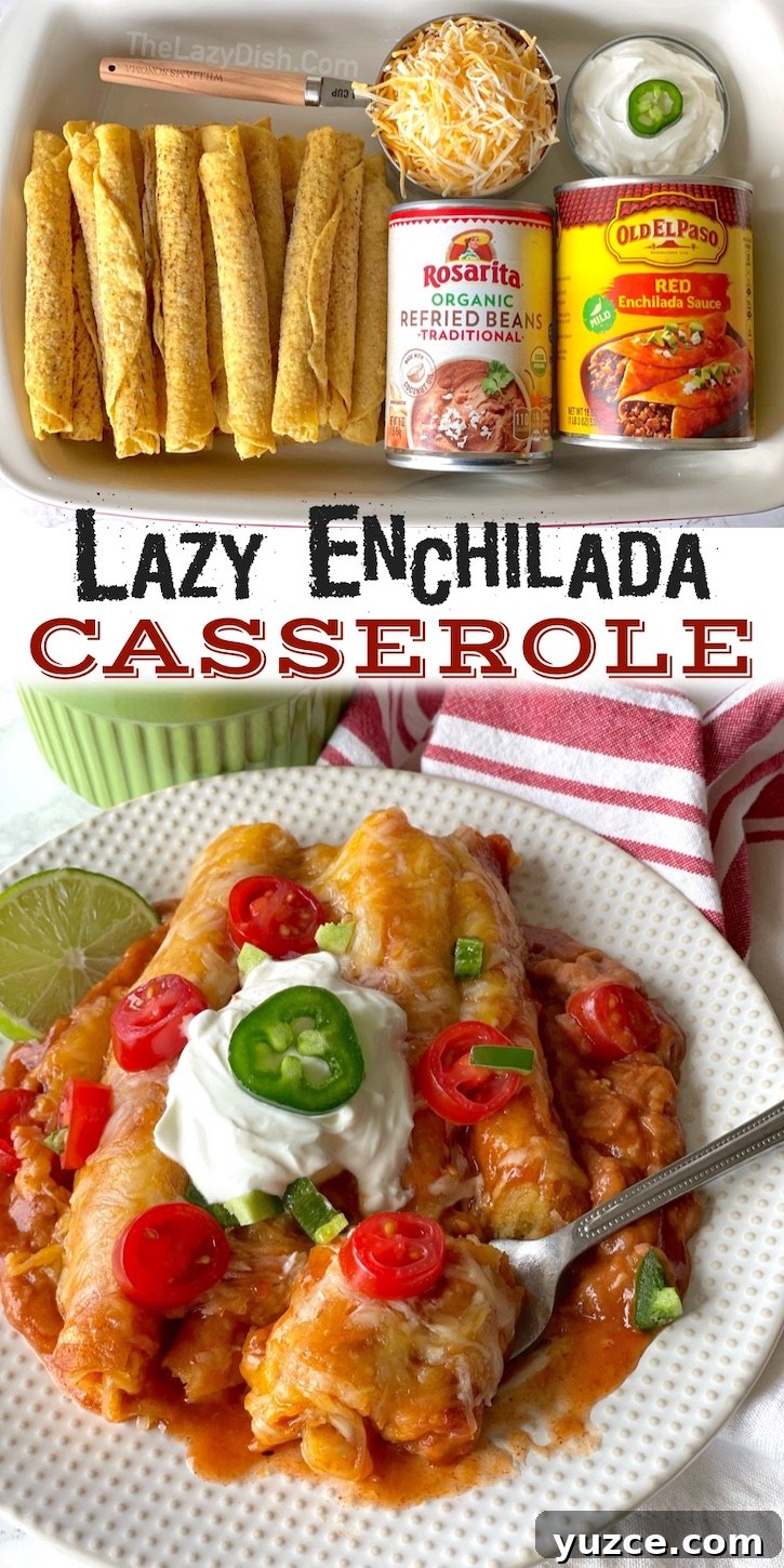 Quick Frozen Taquito Enchiladas: 30-Minute Weeknight Recipe 13 Lazy Enchilada Casserole (Made with frozen Taquitos!) This quick and easy family dinner idea is my absolute favorite weeknight meal to make for my picky eaters. You simply dump everything into just one pan, bake, and enjoy! Very little prep needed, plus just one dish to wash. It's perfect for busy moms on a budget with hungry children to feed. It's the best comfort food made lazy! It tastes like something you'd get at a Mexican restaurant, but it's cheap to make with just a few common ingredients.