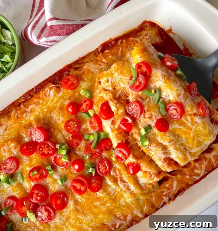 Quick Frozen Taquito Enchiladas: 30-Minute Weeknight Recipe 9 Lazy Enchilada Casserole (Made with chicken or beef frozen taquitos!) This quick and easy dinner recipe is a family favorite meal on busy school nights. My picky kids love it!