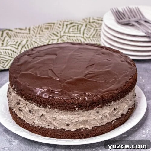 Giant Oreo Cake Recipe: How to Bake a Show‑Stopping Oreo Layer Cake 14 Recipe thumbnail