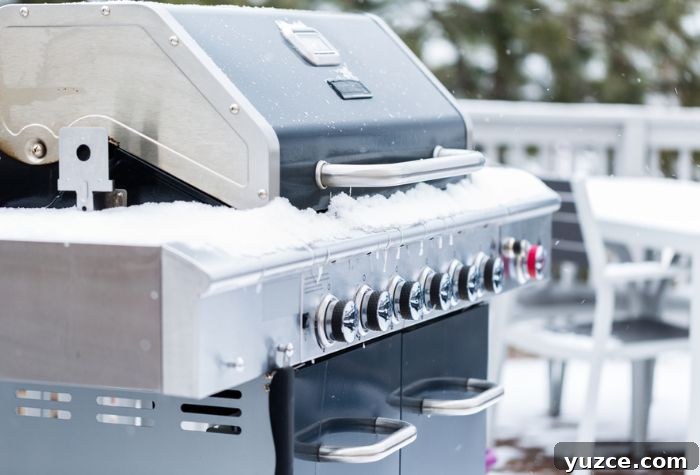Winter Grilling Tips: 17 Ways to Master Cold-Weather BBQ 3 gas grill winter snow