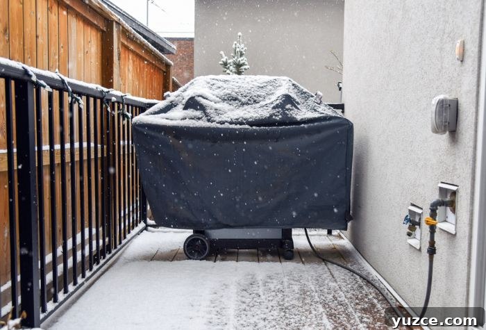 Winter Grilling Tips: 17 Ways to Master Cold-Weather BBQ 4 grill cover on backyard grill