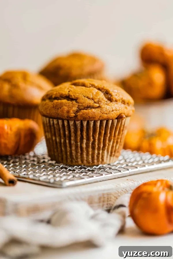 a pumpkin muffin on a white table