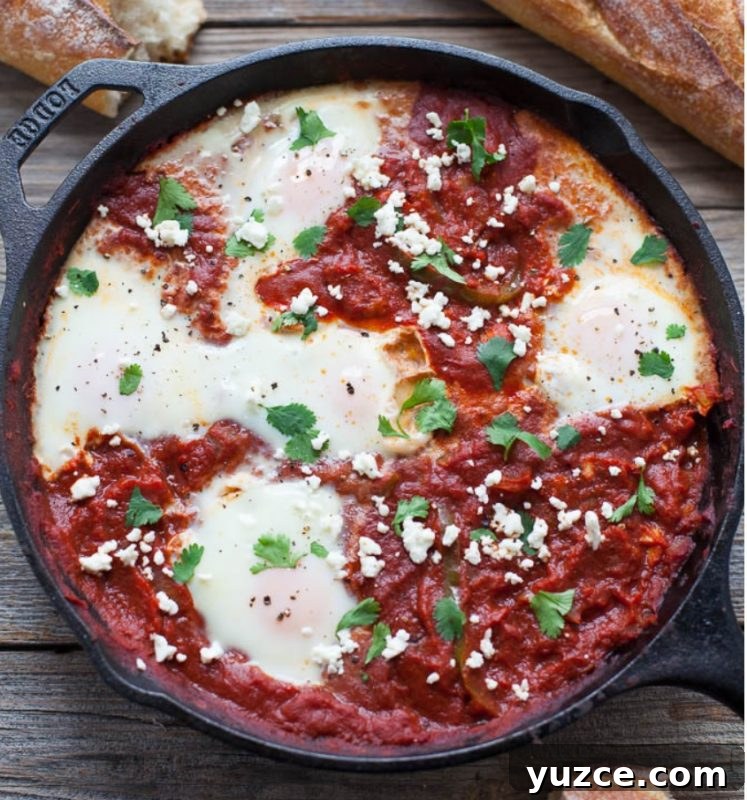 28 Delicious Egg Dinner Recipes for Every Night of the Week 5 Shakshuka and strata