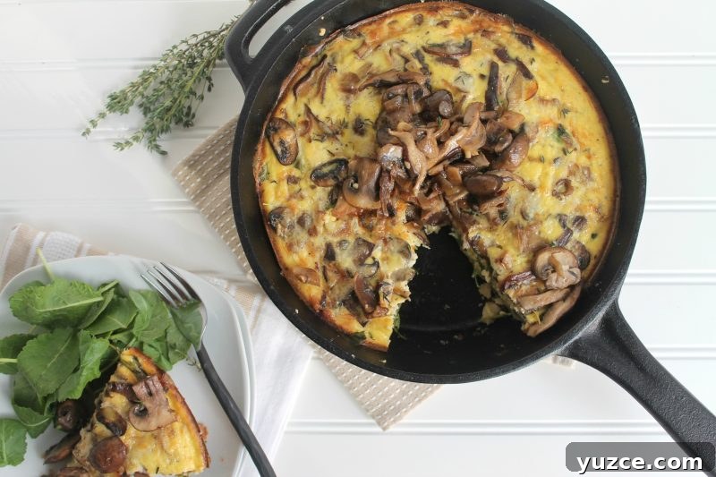 28 Delicious Egg Dinner Recipes for Every Night of the Week 6 Quiche recipes