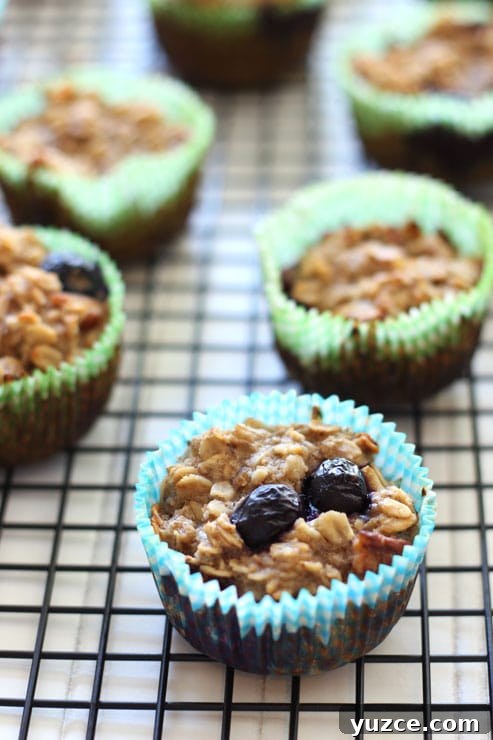 Baked blueberry oatmeal cupcakes sitting on a black wire cooling rack.