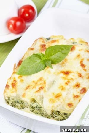 Gluten Free Canneloni with Fresh Pasta