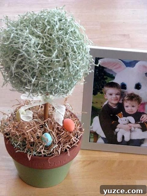 topiary in flower pot displayed on table
