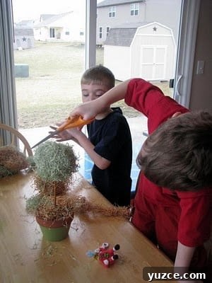 Spring Topiary Ideas to Refresh Your Garden Today 9 child trimming craft grass on styrofoam ball