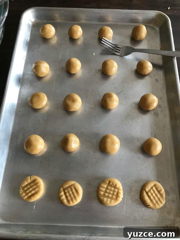 Afternoon Tea Cookies: Classic Recipes for Elegant Tea Time 6 Step by step photos for making cookies
