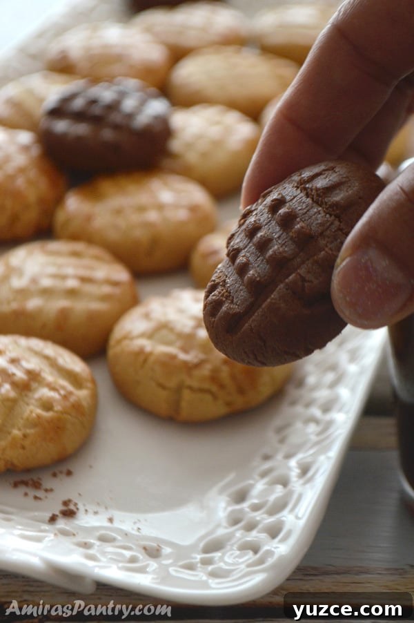 Afternoon Tea Cookies: Classic Recipes for Elegant Tea Time 8 Quick and Easy Cookie Recipe