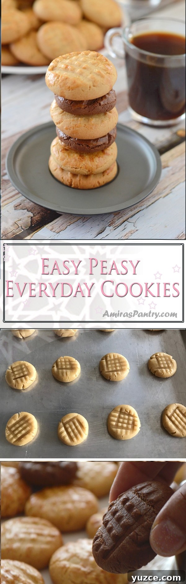 Afternoon Tea Cookies: Classic Recipes for Elegant Tea Time 9 Here's a cookie, not just any cookie, but a fast easy cookie . Easy to make and even easier to eat, very forgiving cookie recipe.