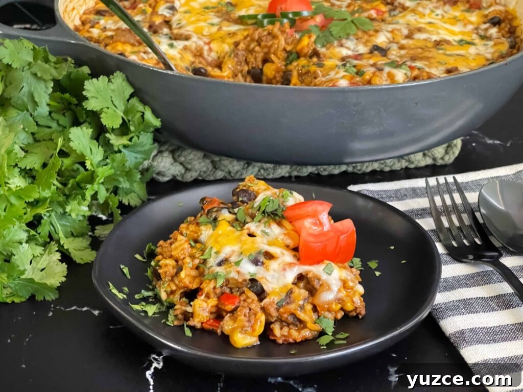 Mexican ground beef with rice with a serving on a dark plate.