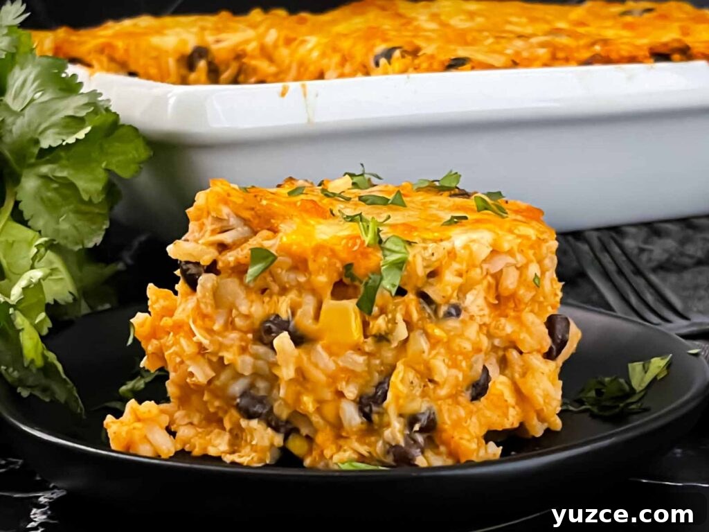Chicken enchilada rice casserole on a black plate.
