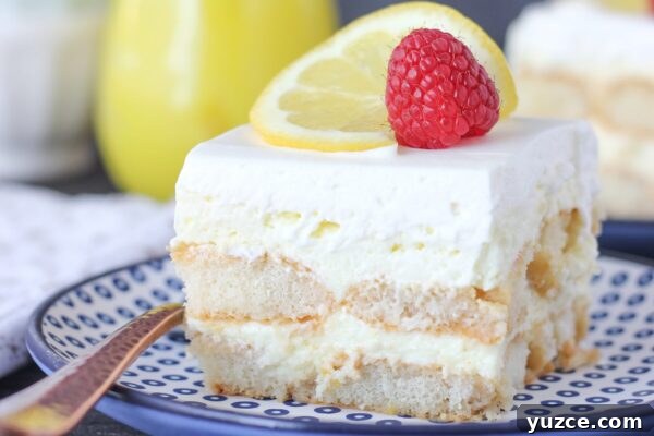9 No-Bake Summer Desserts to Beat the Heat 3 img 6003 2