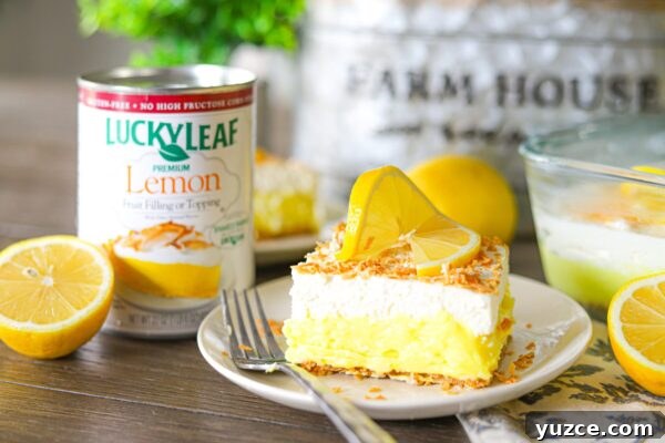 9 No-Bake Summer Desserts to Beat the Heat 5 img 6003 4
