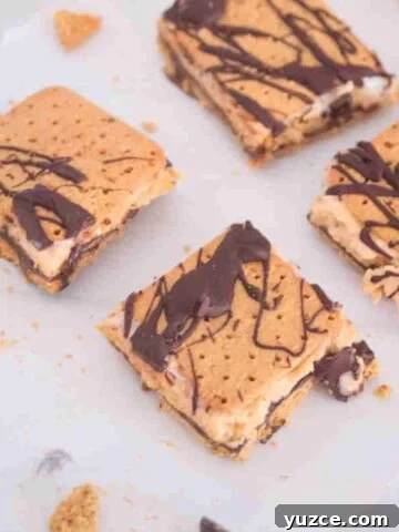 frozen protein smores with chocolate drizzle