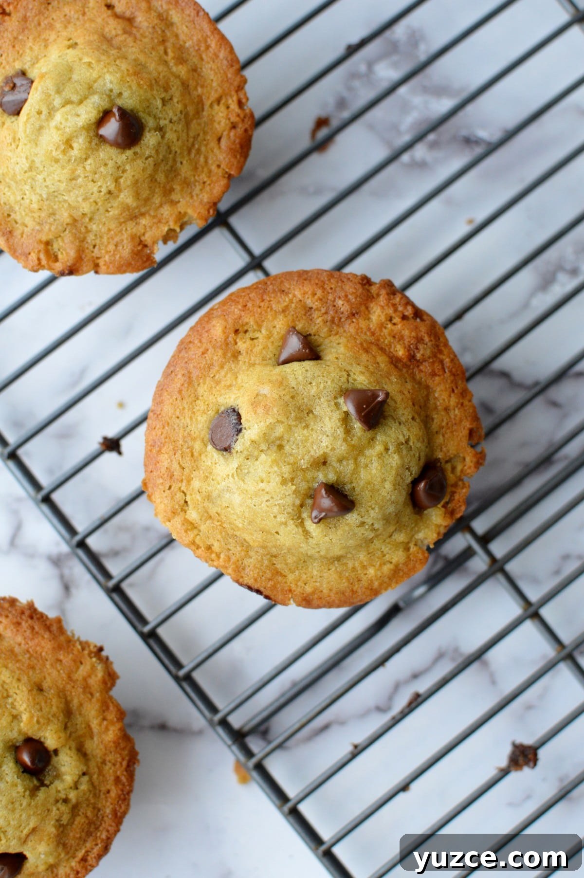 gluten free muffin top with chocolate chips