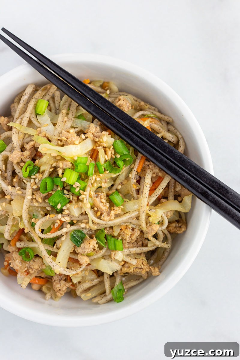 Crispy Egg Roll Soba Noodle Bowl with Sesame Ginger Sauce 2 egg roll soba noodle bowl