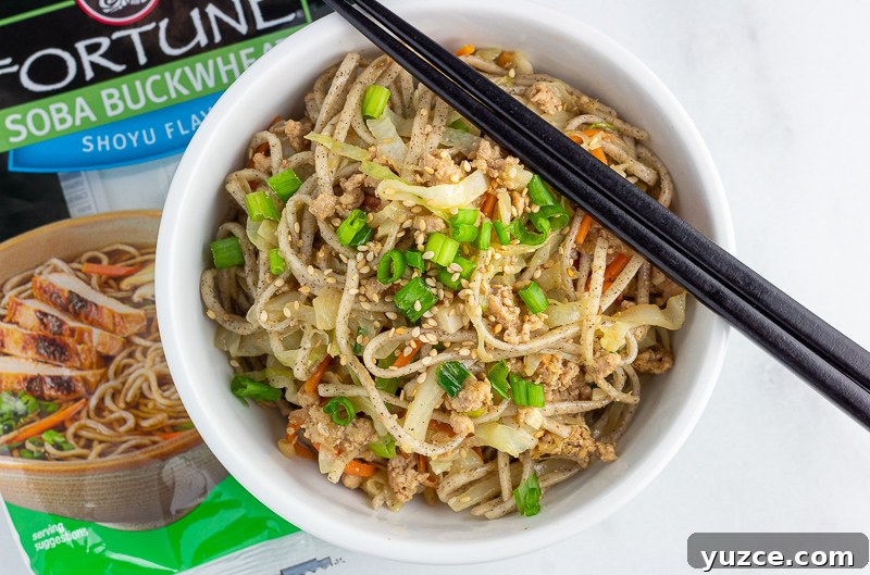 Crispy Egg Roll Soba Noodle Bowl with Sesame Ginger Sauce 4 egg roll soba noodle bowl recipe