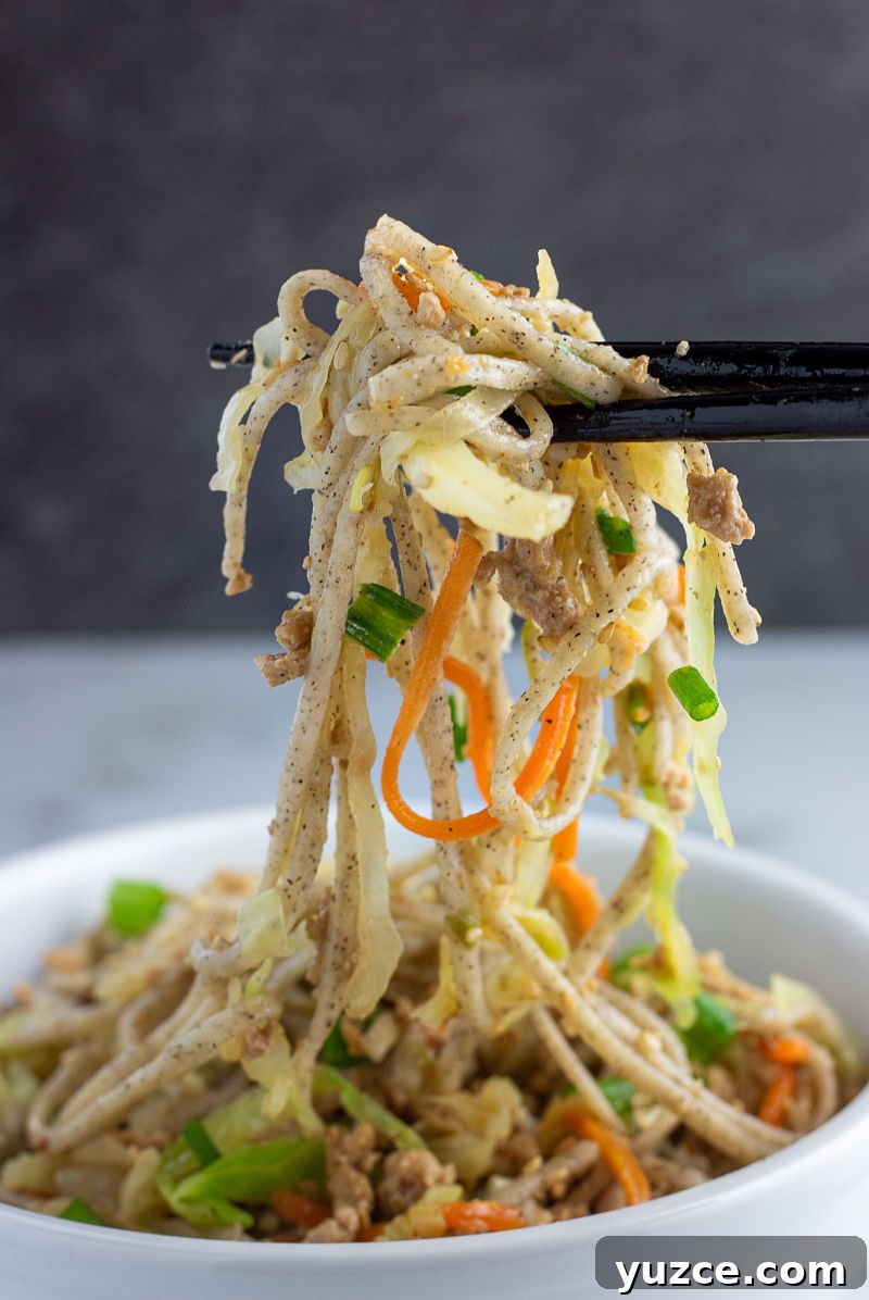 Crispy Egg Roll Soba Noodle Bowl with Sesame Ginger Sauce 7 egg roll soba noodle bowl