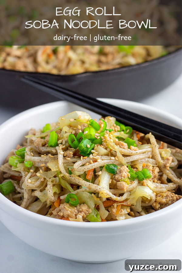 Crispy Egg Roll Soba Noodle Bowl with Sesame Ginger Sauce 8 img 6252 7