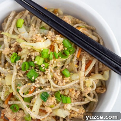 Crispy Egg Roll Soba Noodle Bowl with Sesame Ginger Sauce 10 egg roll soba noodle roll