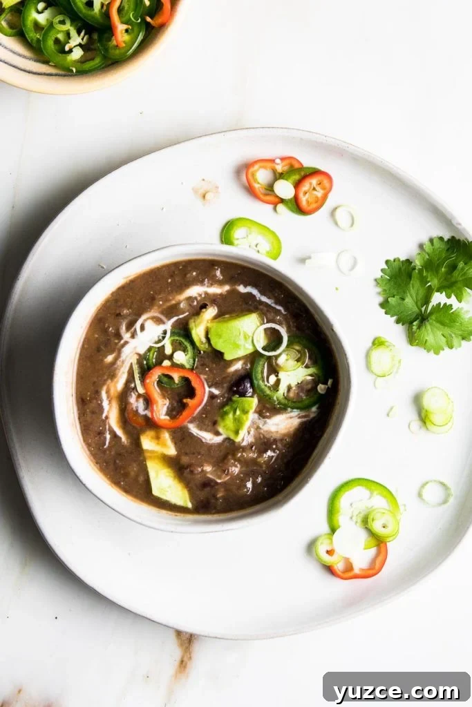 Black Bean Soup with a swirl of vegan yogurt.