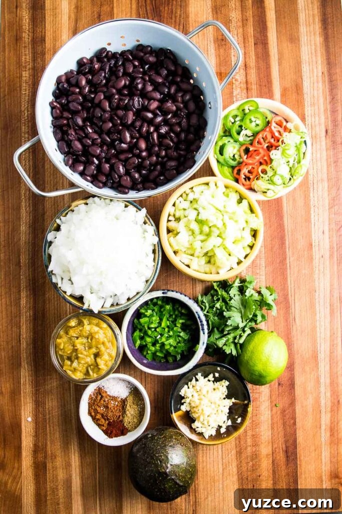 Ingredients for black bean soup: black beans, chopped onions, spices, scallions, green chilis, cilantro, lime, spices, minced garlic, jalapenos.
