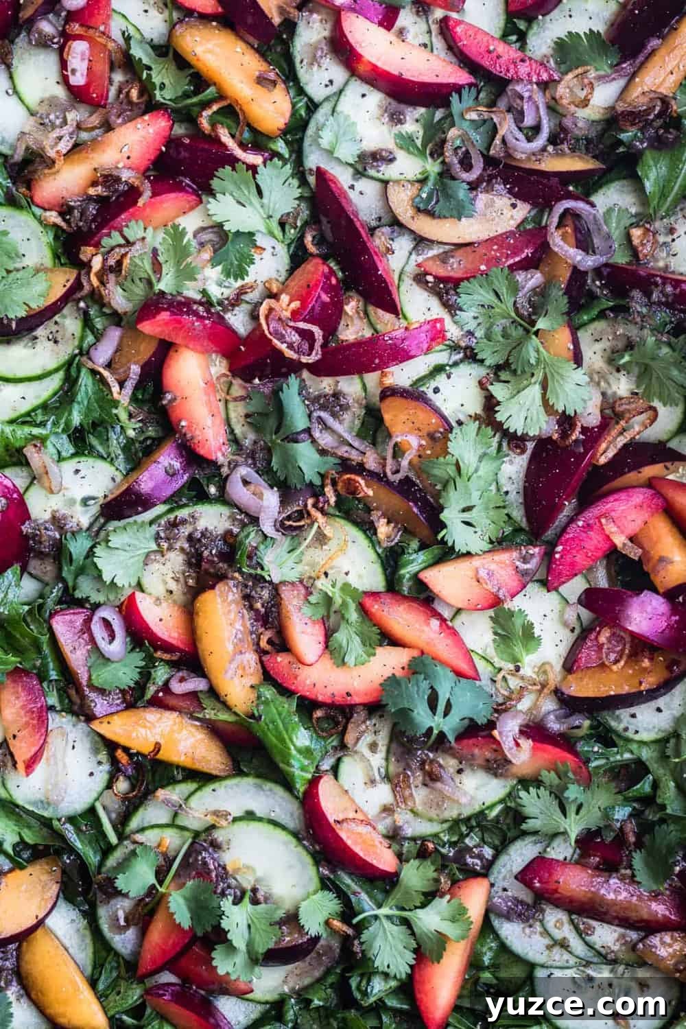 Plum and Cucumber Salad with Roasted Ginger Vinaigrette 2 Plum & Cucumber Salad with Roasted Ginger Vinaigrette all done, topped with cilantro and crispy shallots.