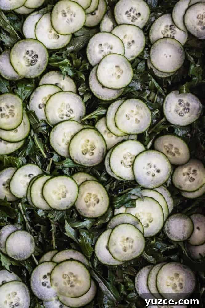 Plum and Cucumber Salad with Roasted Ginger Vinaigrette 5 Mizuna lettuce topped with cucumbers.