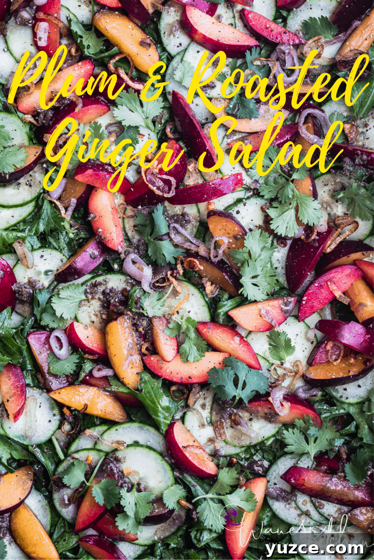 Plum and Cucumber Salad with Roasted Ginger Vinaigrette 8 Plum & Cucumber Salad with Roasted Ginger Vinaigrette Recipe all done with cucumbers, plums, crispy shallots, greens, cilantro and dressing!