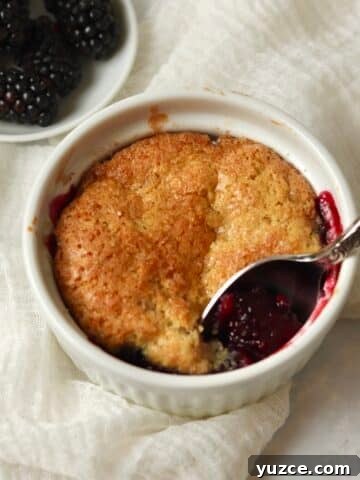 Single serve blackberry cobbler in a ramekin with fresh blackberries.