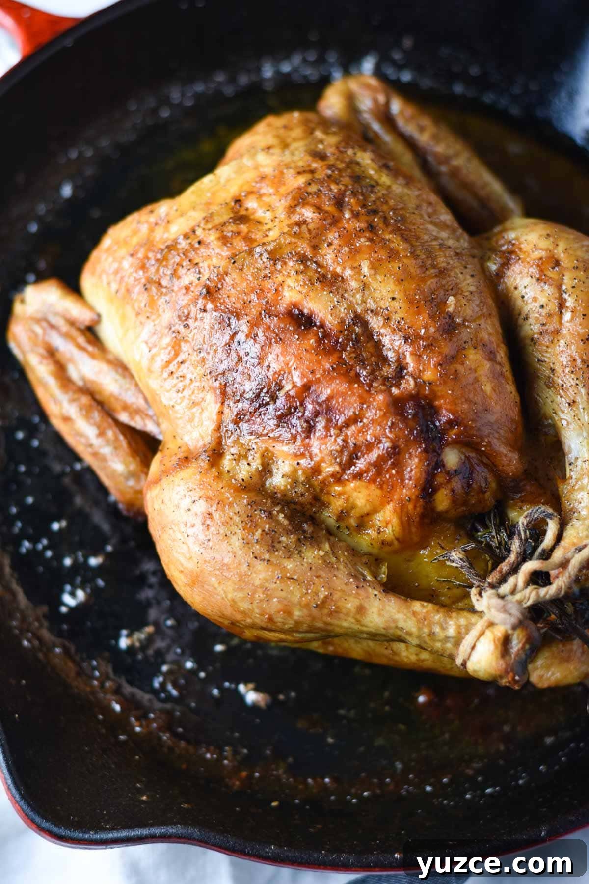 Perfectly Roasted Whole Chicken in a Cast Iron Skillet 2 Roasted chicken in a cast iron with kitchen twine ties.