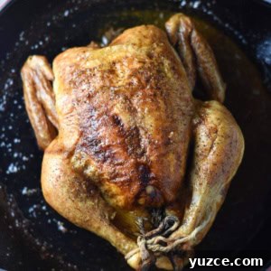 Perfectly Roasted Whole Chicken in a Cast Iron Skillet 15 A roasted chicken in a cast iron pan.