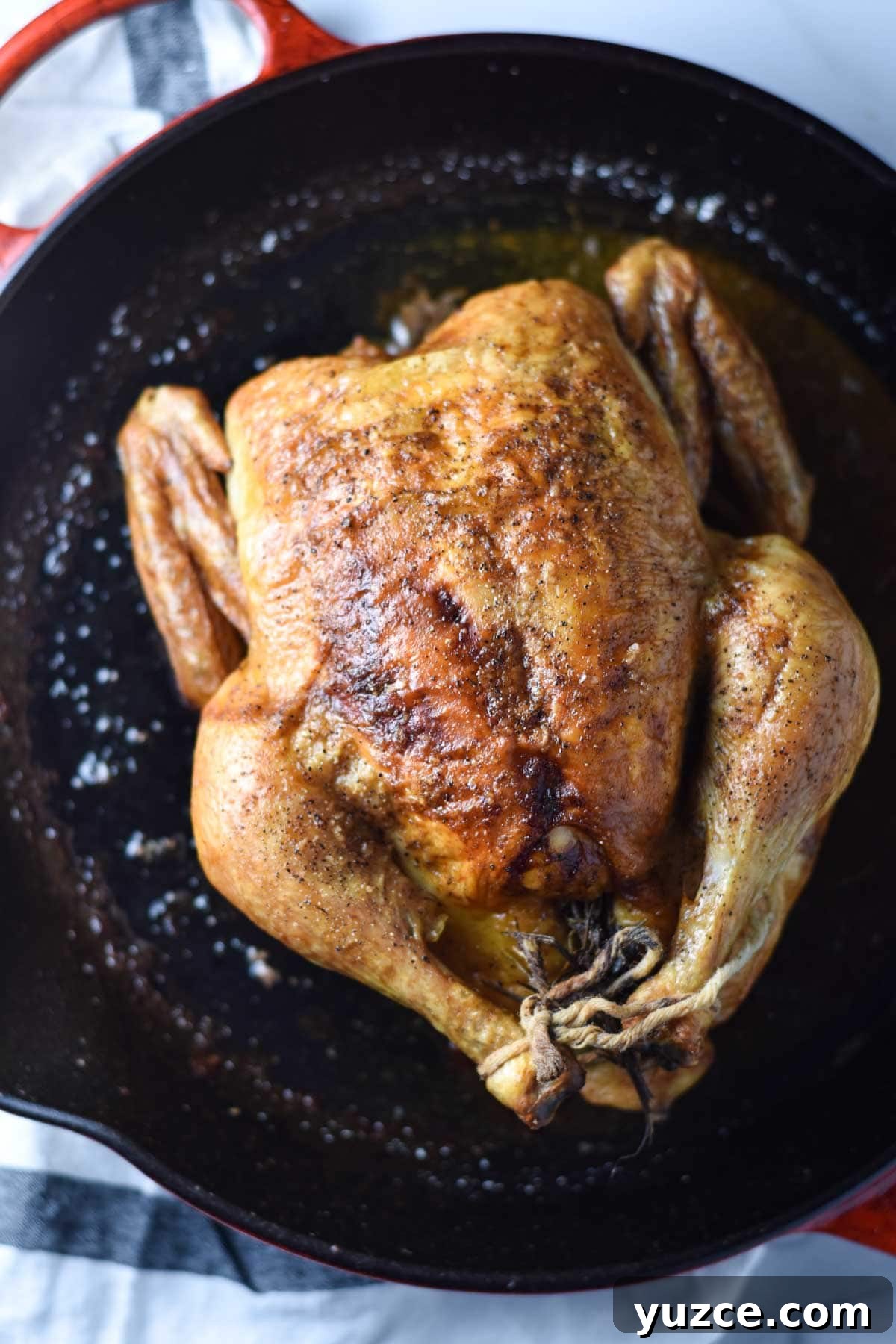 Perfectly Roasted Whole Chicken in a Cast Iron Skillet 3 A whole roast chicken in a cast iron pan.