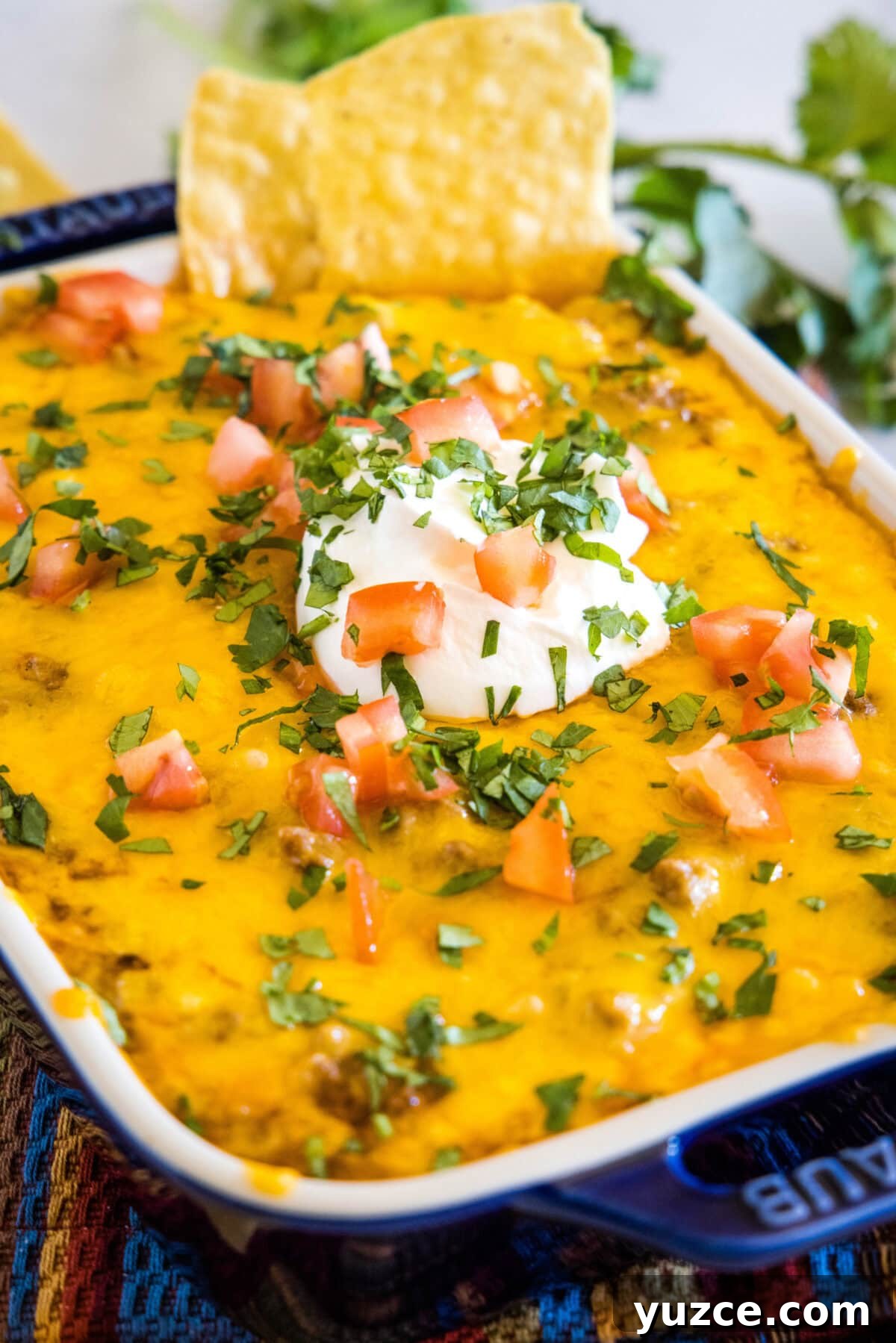 Loaded Beef Enchilada Dip Recipe for Party Appetizers 2 baked beef enchilada dip in baking dish