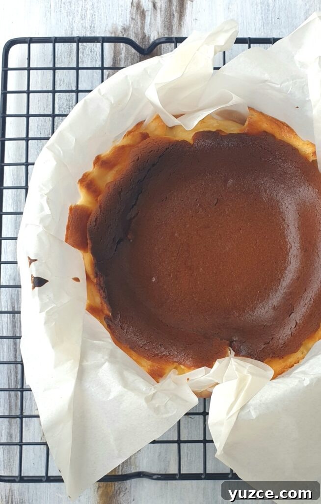Basque Burnt Cheesecake Recipe: Creamy, Caramelized Surface 2 Burnt Basque cheesecake