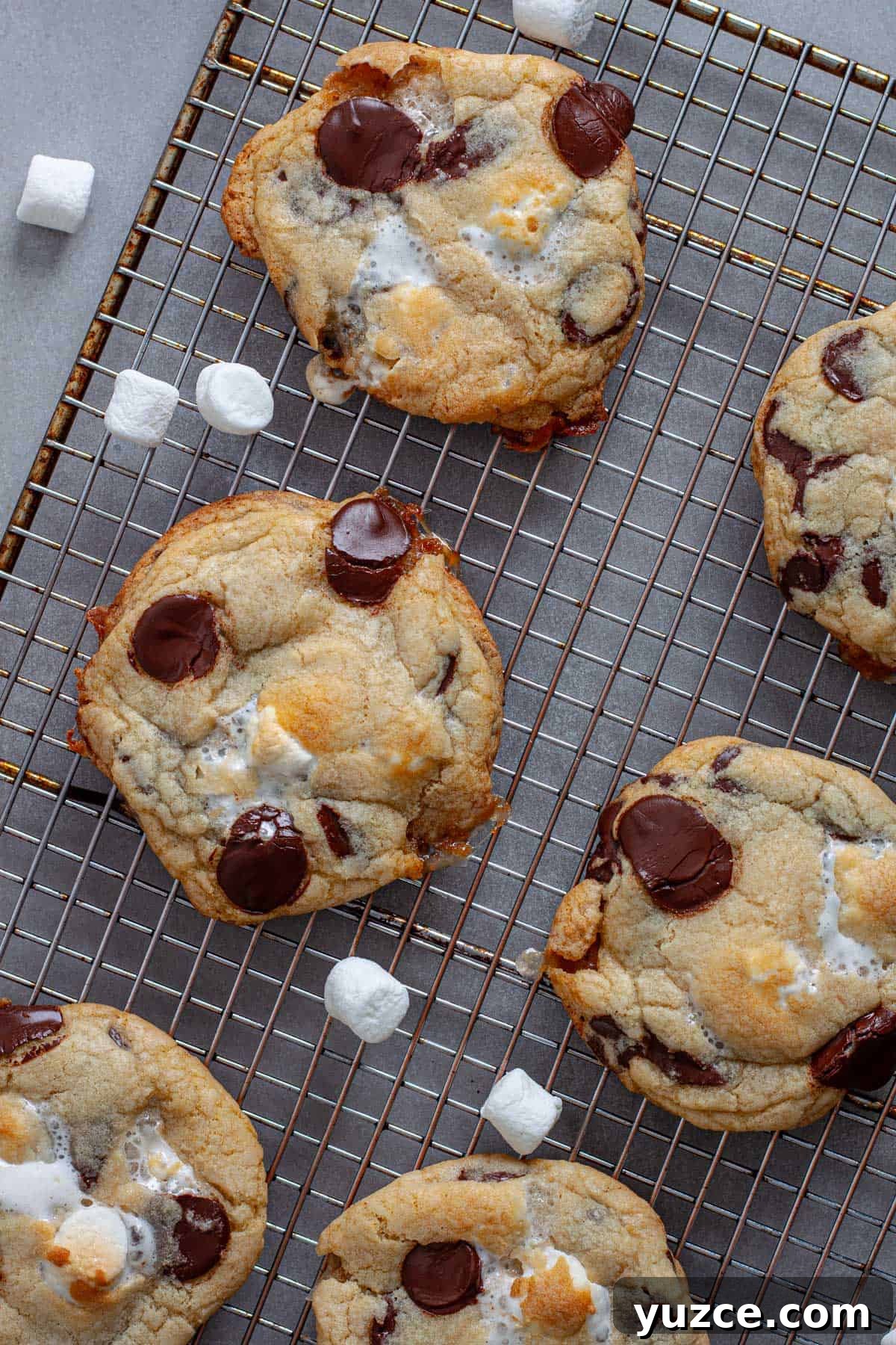 Chewy Chocolate Chip Cookies with Gooey Marshmallow Centers 2 Chocolate chip marshmallow cookies cooling on a wire rack.