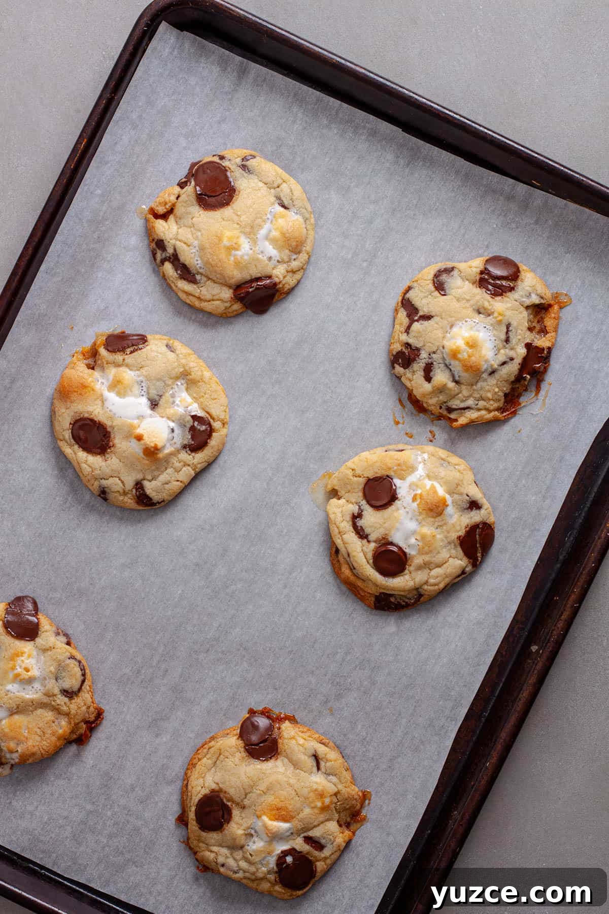 Chewy Chocolate Chip Cookies with Gooey Marshmallow Centers 11 Freshly baked chocolate chip marshmallow cookies on a baking sheet.