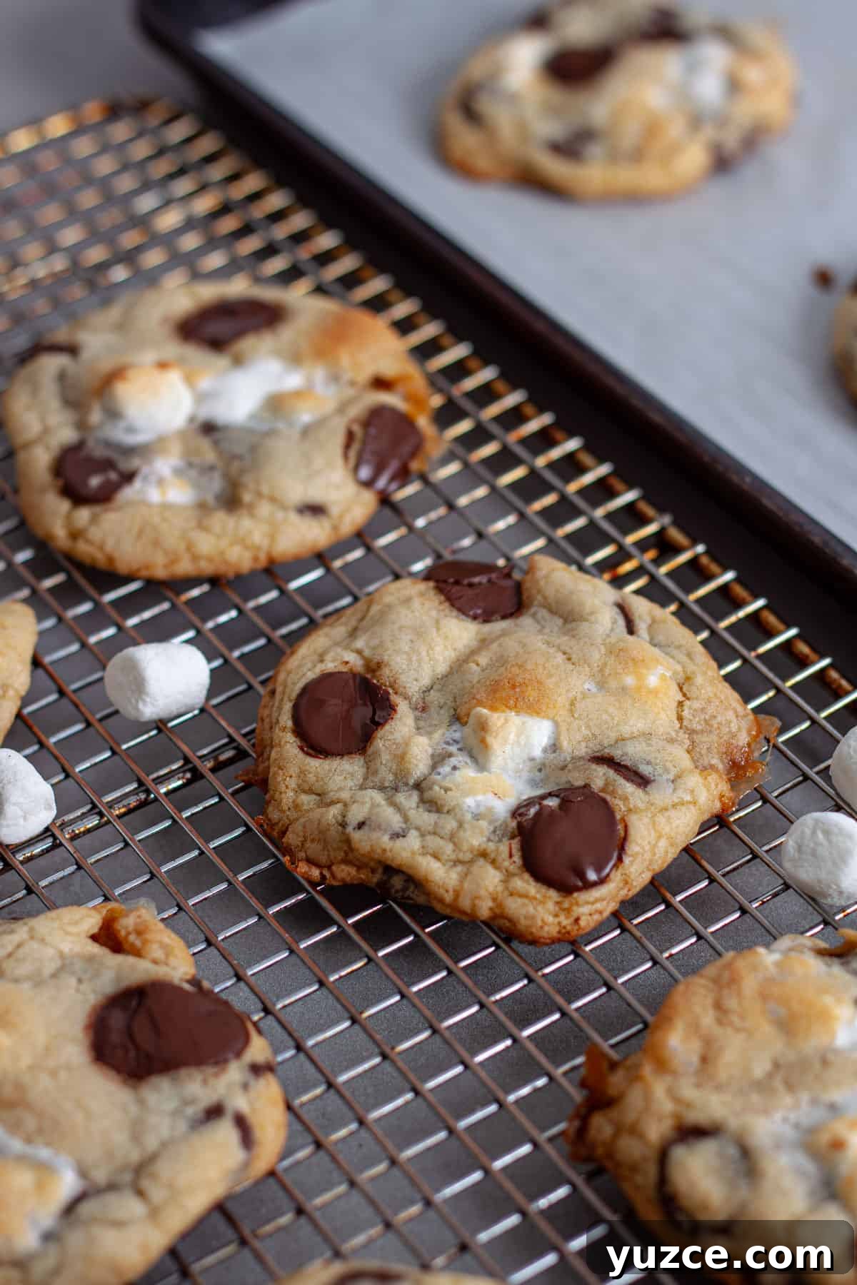 Chewy Chocolate Chip Cookies with Gooey Marshmallow Centers 12 Gooey marshmallow and chocolate chip cookies cooling on a wire rack.