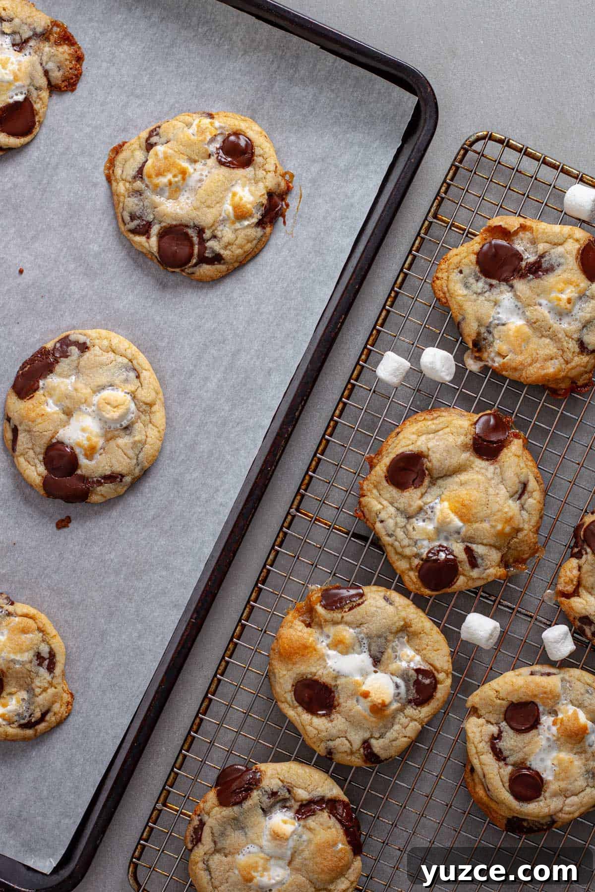 Chewy Chocolate Chip Cookies with Gooey Marshmallow Centers 13 Chocolate chip cookies with marshmallows transferred to a wire rack to cool.