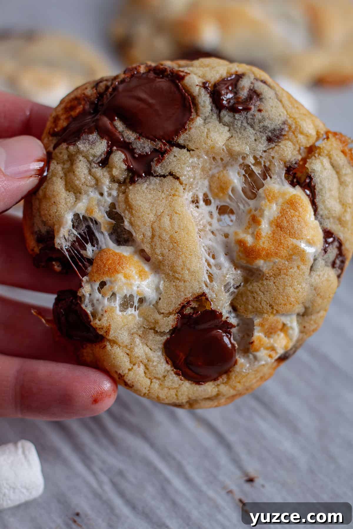 Chewy Chocolate Chip Cookies with Gooey Marshmallow Centers 14 A close-up of a gooey marshmallow chocolate chip cookies.