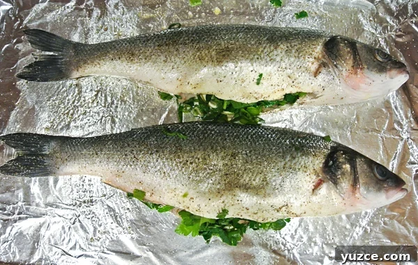 wholefish3 img 6951 2
